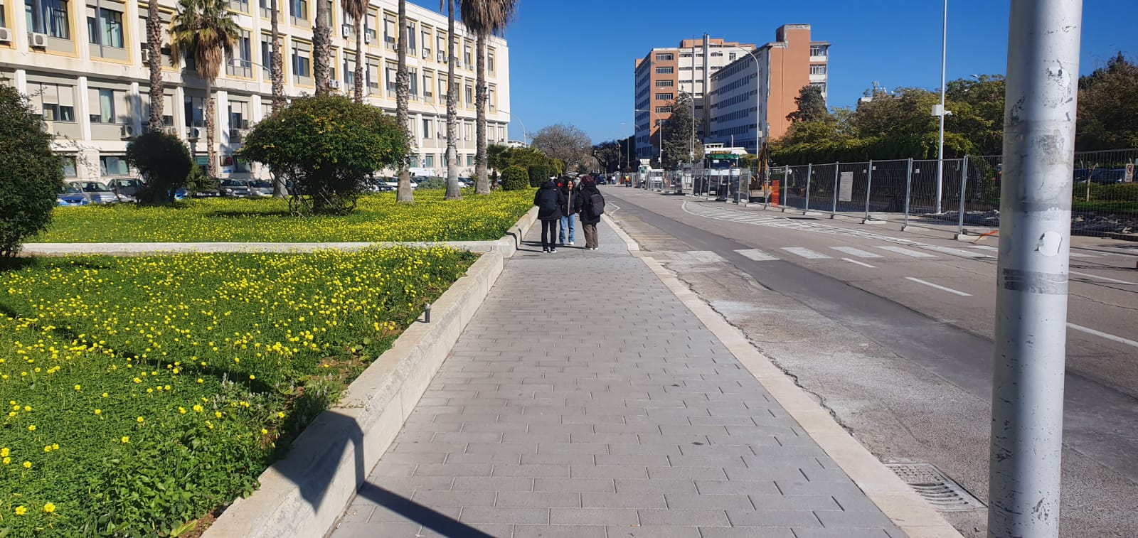Università  degli studi di Palermo